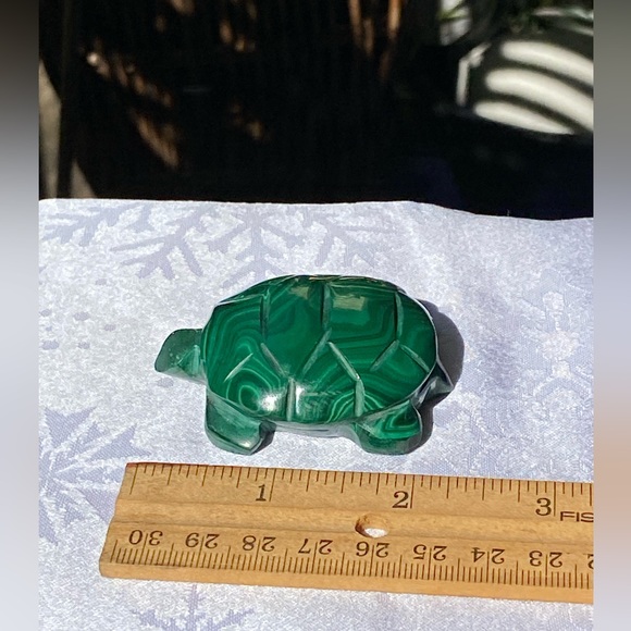Malachite Turtle - Picture 16 of 16